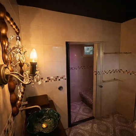 Holiday home Wellness Tuin Noord Limburg - Wellness Met Indoor Prive Sauna, Prive Stoom Cabine, Prive Jacuzzi - Ultieme Partner Beleving *