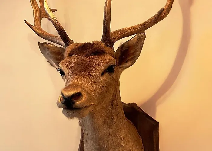 Wellness Tuin - Ultieme Partner Beleving - Prive Wellness Met Prive Jacuzzi In Prive Tuin, Prive Indoor Sauna En Prive Indoor Stoomcabine In Koloniale Stijl - Gratis Fles Prosecco & Leuke Partner Connect Box !