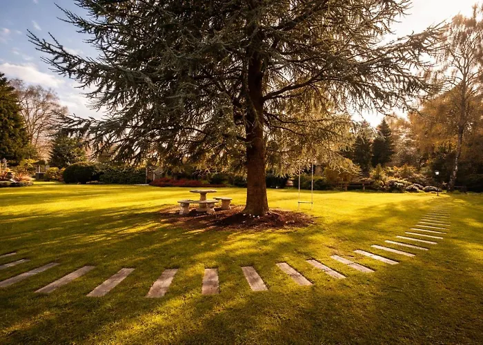 Wellness Tuin - Ultieme Partner Beleving - Amazone Wellness Met Indoor Prive Sauna, Prive Stoom Cabine, Prive Jacuzzi - Gratis Fles Prosecco & Leuke Partner Connect Box ! *