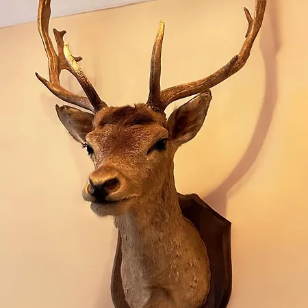 Wellness Tuin - Ultieme Partner Beleving - Privé Wellness Met Privé Jacuzzi In Privé Tuin, Privé Indoor Sauna En Privé Indoor Stoomcabine In Koloniale Stijl - Gratis Fles Prosecco&leuke Partner Connect Box !